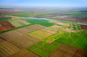 Земельна частка (пай)