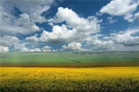 Значення  та  складові  Державного  земельного  кадастру.